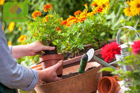 ChoosingtheRightPlantsandToolsforEasierMaintenance