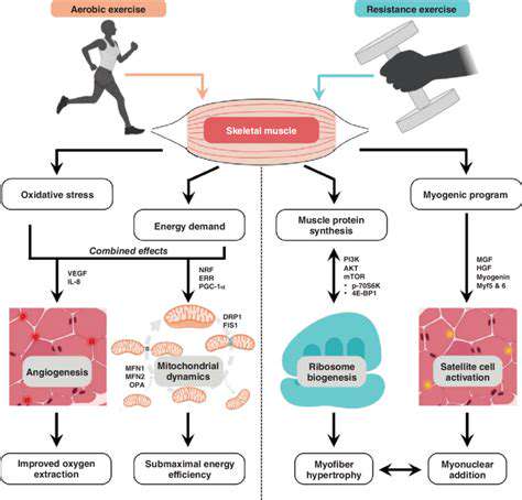 Functional Exercises for Seniors to Improve Grip Strength