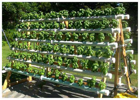HydroponicsandVerticalGardeningforSpace-SavingSolutions