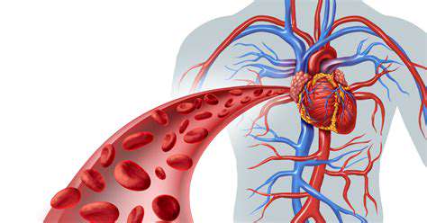 The Cardiovascular Benefits of Walking for Seniors