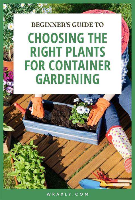 ChoosingtheRightContainersandPlants