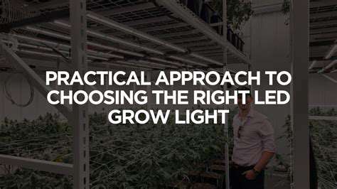 ChoosingtheRightLightWeights:APracticalApproach