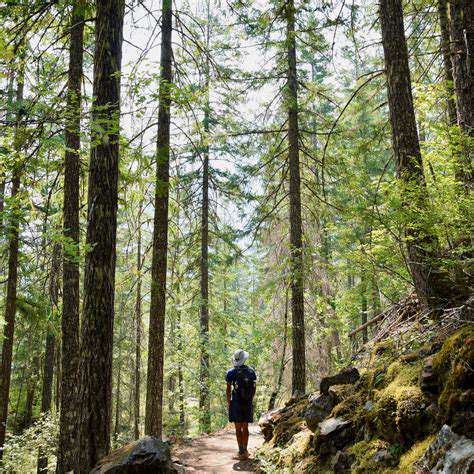 CoastalPathsandTrails:ExploringtheOutdoors